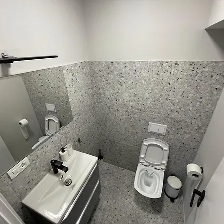 Sabrini B3 Old Town Apartment Timisoara